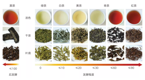 买茶如何不被“坑”？避坑指南来了